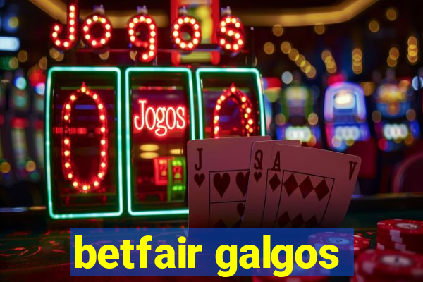 betfair galgos